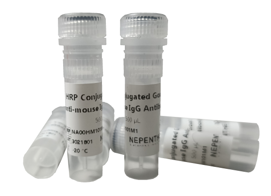 purified goat anti-mouse igg secondary antibodies